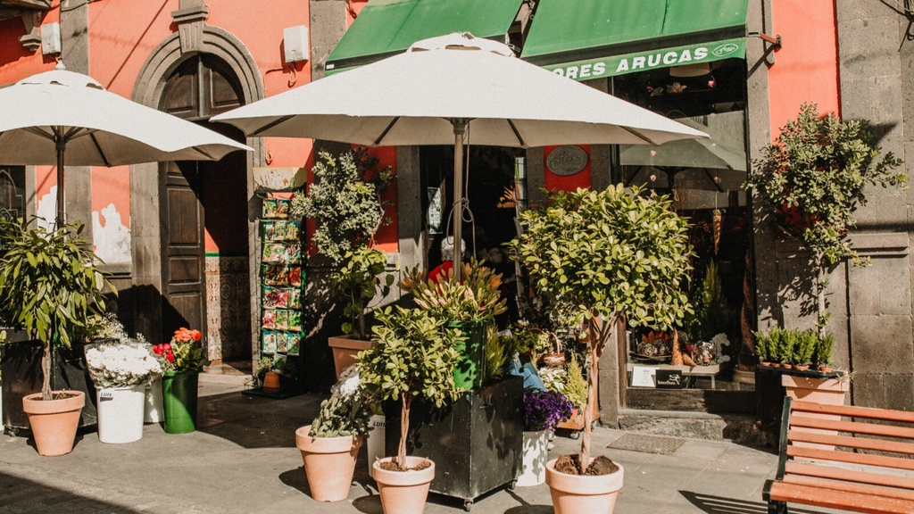 Autonomos_Contenido, redes sociales imagen y ofertas